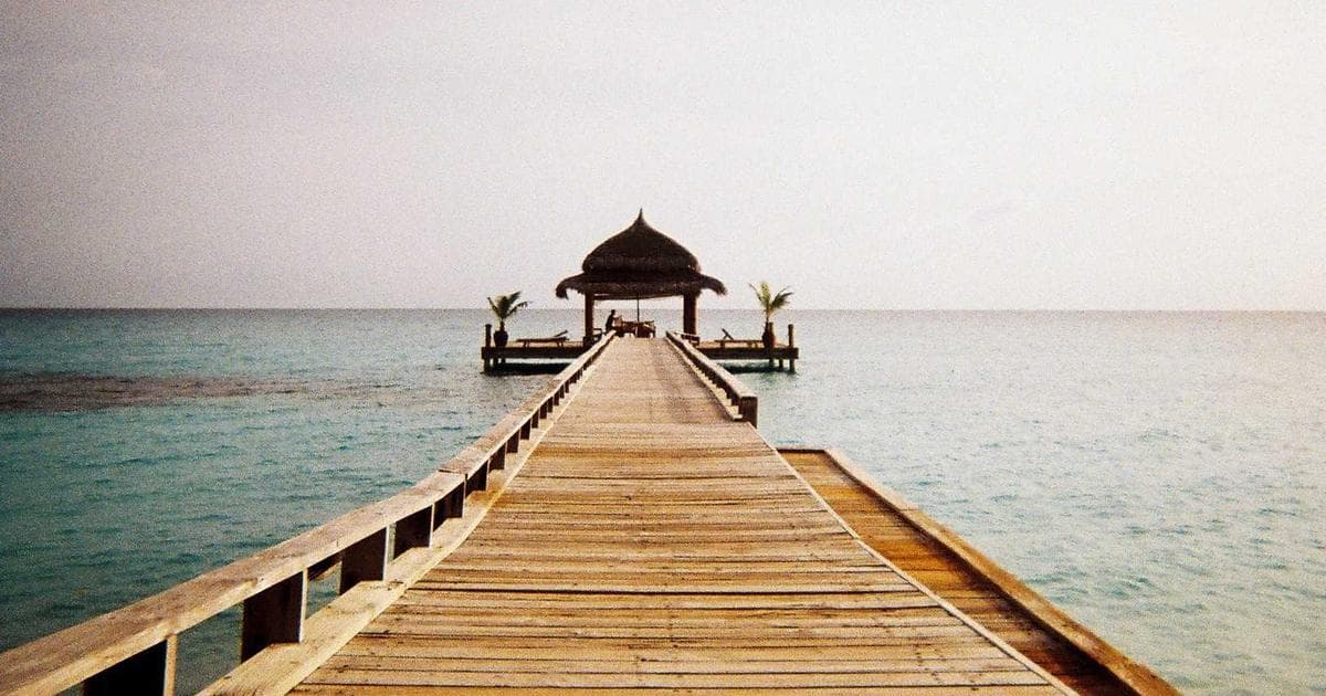 The Velvet Cage: Why Your Compensation Package Is Keeping You Sick