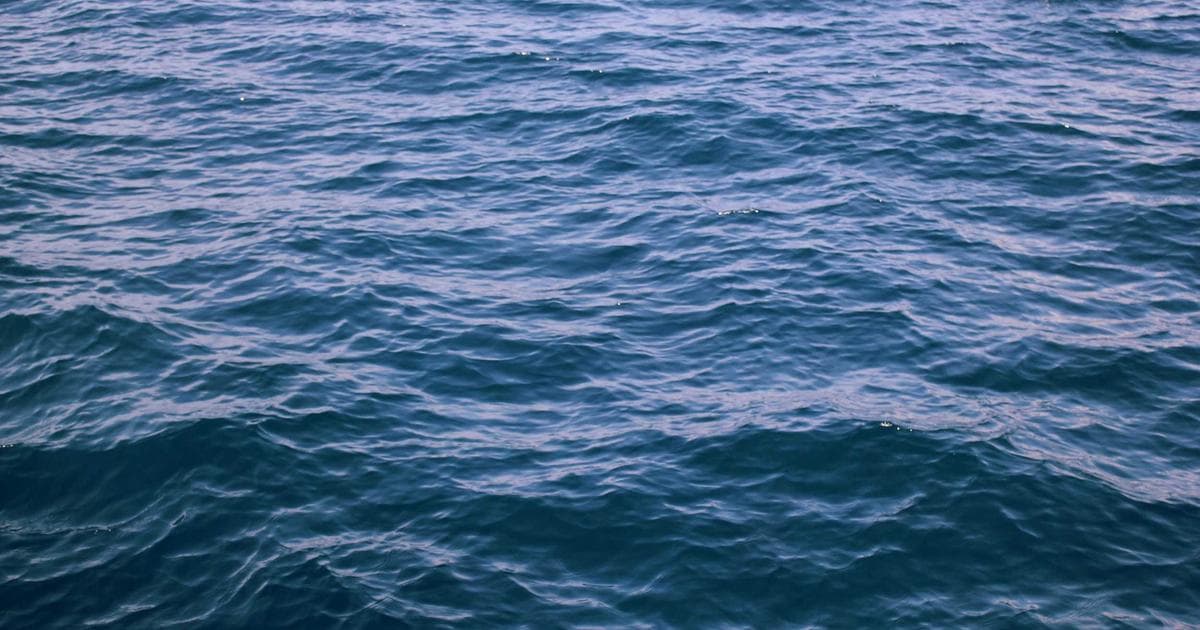 The Quiet Dissolution: Recognizing Identity Collapse After Two Decades in the Same Career