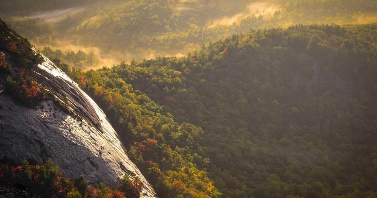 The Expertise Compression: What the Research Actually Shows About AI and the Value of What You Know