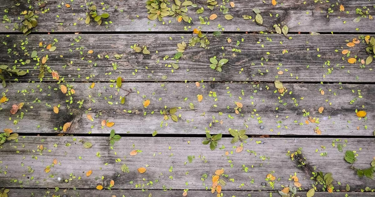 When the Job Title Is the Only Answer You Have: The Quiet Crisis of Identity Fusion at Work