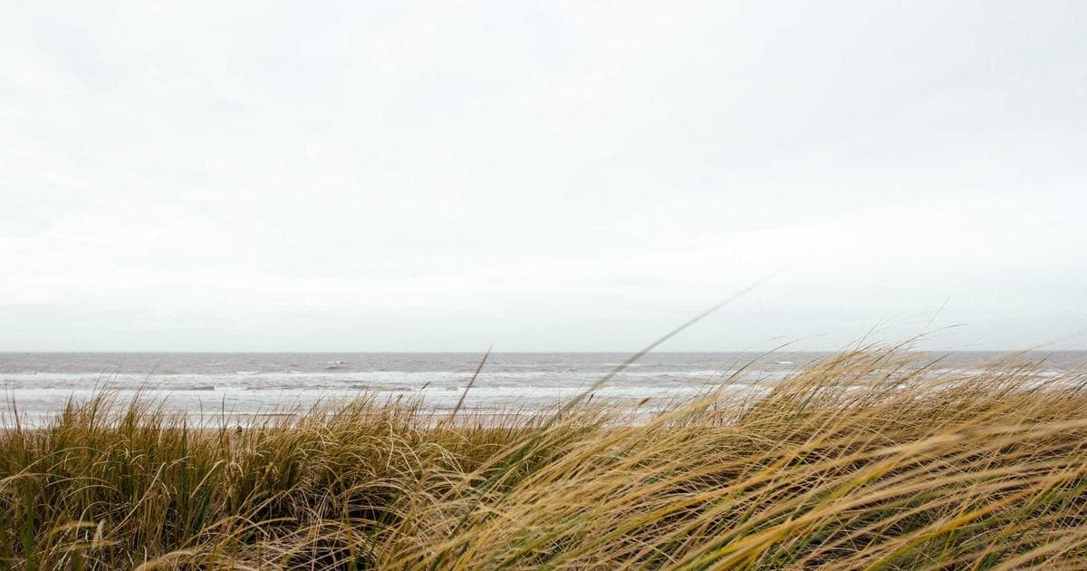 The Math of Reinvention: How to Pivot Careers at 50 When You Still Have a Mortgage and a Freshman in College