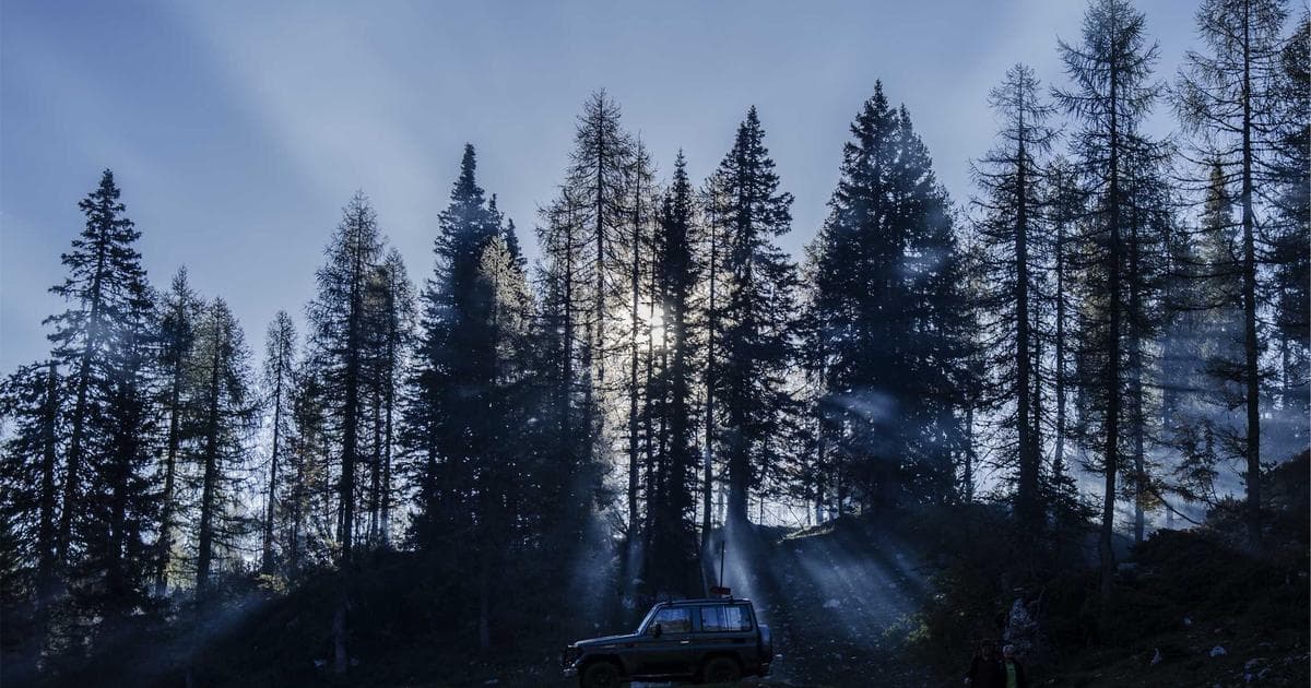 The 54-Year-Old's Reconstruction Problem: Building a Professional Identity After You've Been Shown the Door